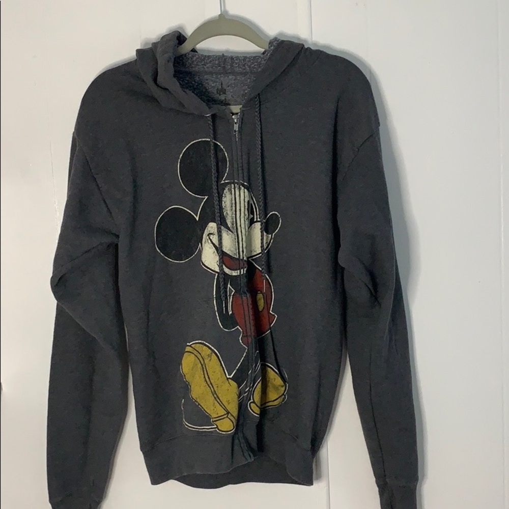 ⭐️VINTAGE DISNEY PARKS HOODIE⭐️